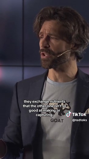 How Plants Communicate Through Fungal Networks