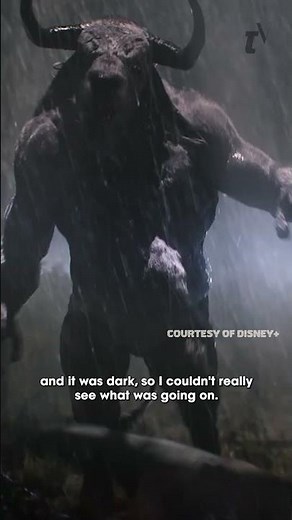 "I think the hardest stunt sequence was the Minotaur fight."