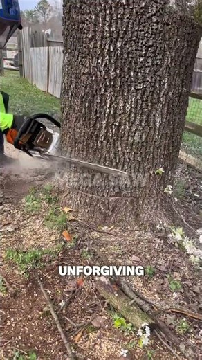 Perfect Face Cut ✅