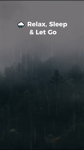 Forest Rain Sounds 🌲 Relax & Deep Sleep