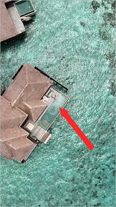 Online privacy where you need it. Everywhere. | Norton