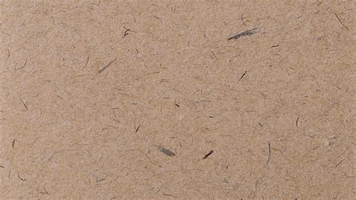 ✈️High-Flying Send-Off for Wyandotte Wrestling ✈️ The sky was the limit today for our Wyandotte wrestlers! A huge shoutout to our FAA Part 107 licensed drone pilots, Terry Hembree and Elijah Dees, for capturing some incredible aerial footage of the State Wrestling send-off. These talented students are soaring high as members of the Wyandotte Aviation program, proving that their skills extend far beyond the classroom and into the clouds. ✈️📸 It was an inspiring morning watching the community com