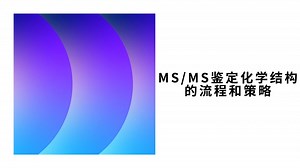 MSMS鉴定化学结构的流程和策略