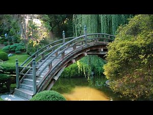 Eternal Garden - Musique Relaxante💆‍♀️🧘‍♀️ Zen / Anti-Stress / Nature | Musique Libre de Droit