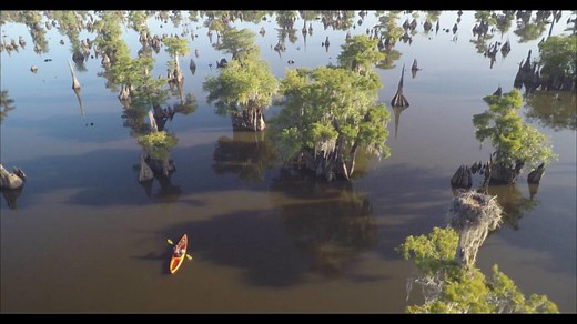 Experience the Eerie Beauty of Dead Lakes near Wewahitchka, Fla. | VISIT FLORIDA