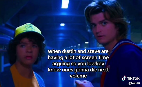 Stranger Things Season 3: Steve and Dustin's Tense Moments