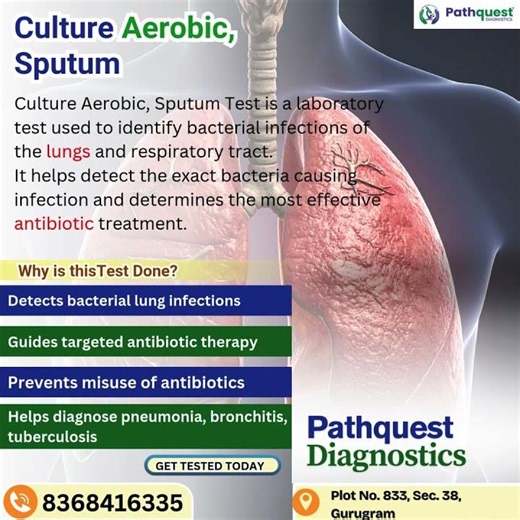 Culture Aerobic Sputum Test | Detect Lung & Respiratory Infections | Pathquest Diagnostics #lungs