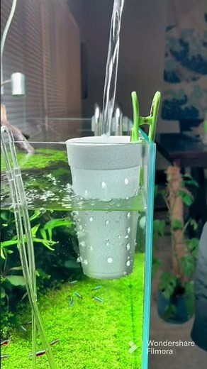 Refill your tank without a mess #aquarium #aquariumcleaning #aquascape