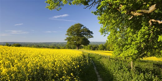 Earth Day 2024 is fast approaching - here's everything you need to know