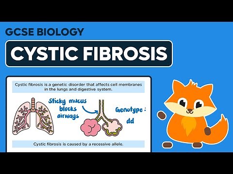 Inherited Disorders: Cystic Fibrosis - GCSE Biology
