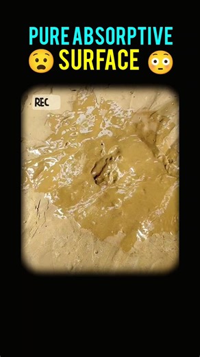 pure Absorptive surface,#shorts #ytshorts #science #physics