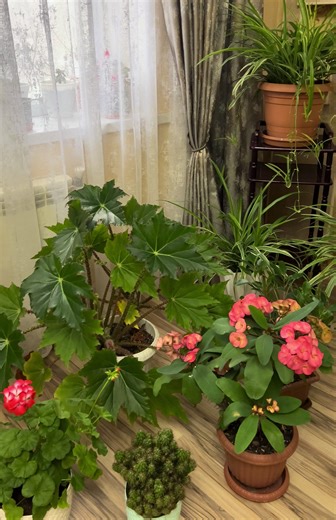 Gözəl Qızlar: Azərbaycanın Ən Gözəl Qızları