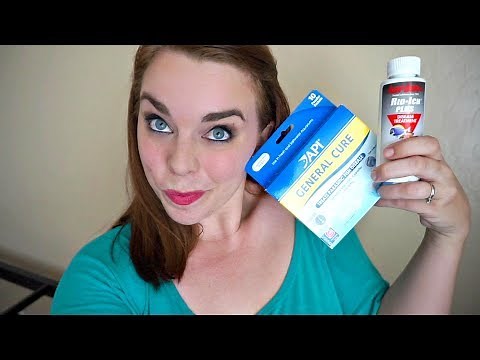 HOW TO QUARANTINE FRESHWATER FISH