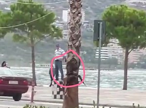 3.6K views · 49 reactions | Lot  | Vlora | Facebook