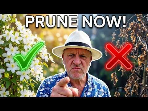 Don't forget to cut back these plants in April, prune trim 2026