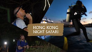 79K views | [WRLDCTY] NIGHT SAFARIS IN HONG KONG Let's experience...