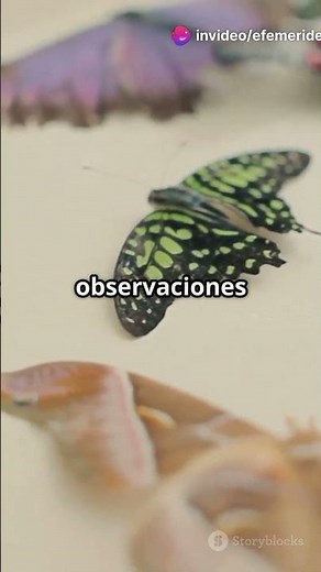 🏆 La científica que revolucionó la entomología