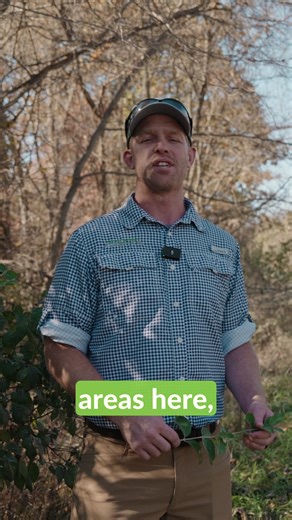 Why were we spraying over trees for the Department of Conservation? Tune in tomorrow evening on YouTube to find out! | Agri Spray Drones