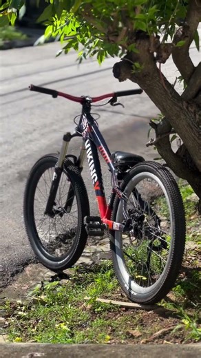 13 de fevereiro de 2026