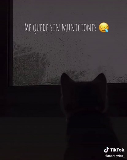 Mora >>> #fyp #viral #moraalyrics #mora #moraedits #microdosis #primerdiadeclases #paraiso #moraalbum