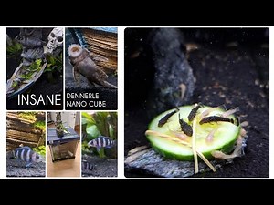 Dennerle Nano Cube 30L Unboxing & Simple But Awesome Set Up