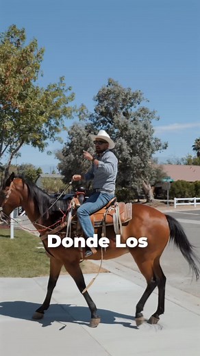Jonathan Meza on Instagram: "Algo bien aquí en norco🐴 Interesados manden un mensaje porfavor If interested please send a dm"