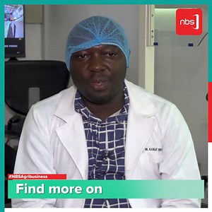 NBS Television - VIDEO: Timothy Kasule an embryologist,...