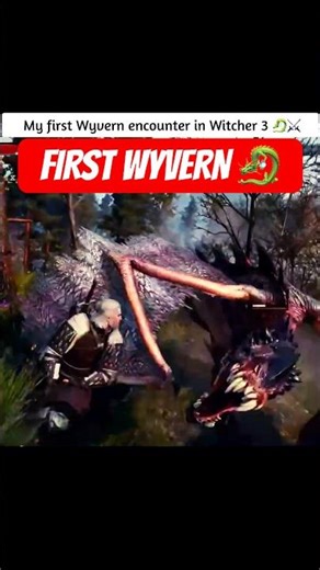First Wyvern Encounter in The Witcher 3 🐉⚔️