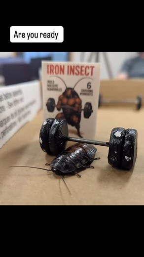 On 10.28 come join the fun at the Inaugural Watergate Roach Run at Tennessee Tech University. Hosted by the Tennessee Tech Archives it is an interdepartmental race full of camaraderie and fun. Community is invited to cheer on our contestants and enjoy the fun! Registration for the race is open till 10.28 ,12 PM central. #tntecharchives #tennesseetech #tennesseetechuniversity #tennesseetechuniversity #tennesseetecharchives #uppercumberland #history #tennessee | Tennessee Tech University Archives 