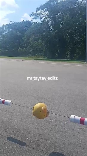 1 rich imagrant pipe active