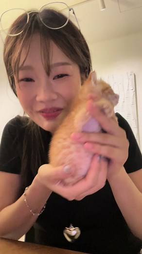 Cat Full of Soup: A Hilarious Compilation of Soup-Loving Cats