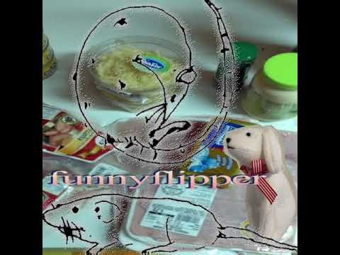 funnyflipper - funnyflipper (full album)