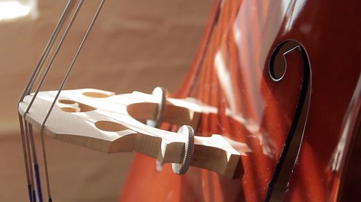 11K views · 40 reactions | Johnson String Instrument's Carol Johnson...