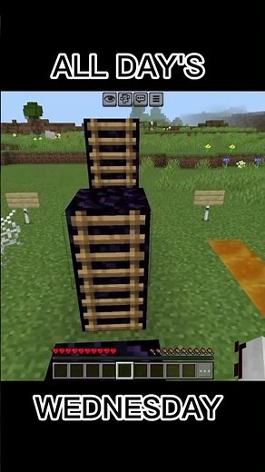 How FAST Days of the Week Go in Minecraft