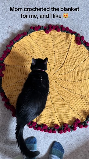 Adorable Cats and Crocheted Comforts