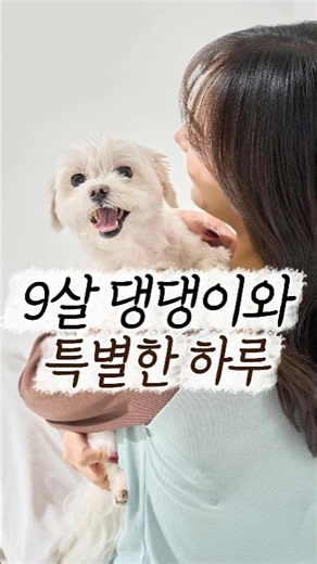 9살 댕댕이와의 사진촬영🐶🤎 #프로필촬영 #스튜디오추천 #사진관 #강아지사진 #일상 #브이로그