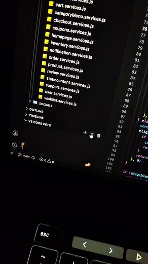 vs code pets 🐕 #software #shorts coding