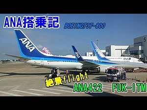 【ANA】国内線搭乗記 ANA422 福岡空港✈大阪伊丹空港 JA88AN(スカイインテリア使用)