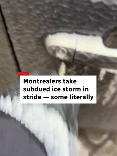 Montreal Ice Storm: Residents Adapt to Conditions