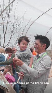 Watch the colorful birds flying freely through the habitat and feed them with a seed stick. | Bronx Zoo