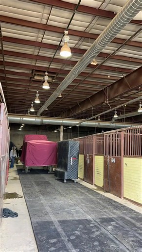 It's move in day for the Draft Horses! Here's the Draft Horse, Mule, & Donkey Show schedule: 🐴 Thursday, January 22 at 10 a.m. 🐴 Thursday, January 22 at 7 p.m. (T) 🐴 Friday, January 23 at 8 a.m. 🐴 Friday, January 23 at 1 p.m. (T) 🐴 Saturday, January 24 at 8 a.m. 🐴 Saturday, January 24 at 1 p.m. (T) 🐴 Sunday, January 25 at 9 a.m. (T) = ticketed event. Tickets are available at https://nationalwestern.com/tickets/ #nwss #denver #WeAreTheWest #StockShow #nwss2026 | NWSS Horse Exhibitors