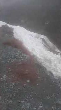 Rapid Glacier Melting Raises Alarm in Northern Pakistan