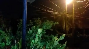 Belize City | News 5 Live