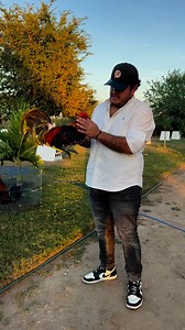 20K views · 809 reactions | Muy contento con los BLF de esta temporada  #RanchoLasPalomas | Las Palomas Farm | Facebook