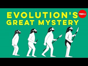 Evolutions great mystery - Michael Corballis - Videos For Kids