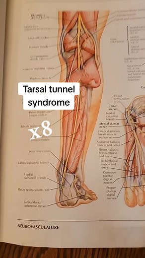 31K views · 429 reactions | Movements for tarsal tunnel or general ankle mobility. See your doctor prior to exercise or for your specific case. This is merely a demonstration. #Tarsaltunnel #footexercises #chiropractor | Bannockburn Chiropractic & Physical Therapy | Facebook