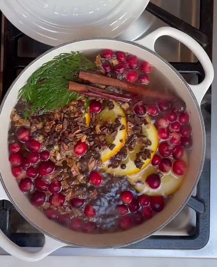 Just over here keeping the holiday vibes going until the new year. 5 ingredients for this simmer pot. 🎄✨ Williams Sonoma Holiday Simmer Pot: https://bit.ly/32rKXcA Le Creuset Dutch Oven, Matte White: https://bit.ly/3mzGY4w Williams Sonoma Mulling Spices: https://bit.ly/3z1NwOD | Williams Sonoma