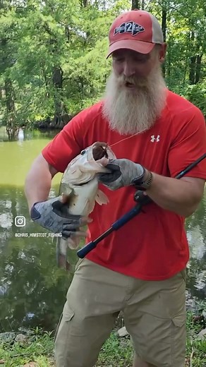 200 reactions · 4 comments | The Pro Mega Structure Jig doing work for @chris_himstedt_fishing Check them out and you’ll see why they’re one of our favorites! #bassfishing #bigbass #jig #fishing #fish | OMEGA Custom Tackle, Inc. | Facebook