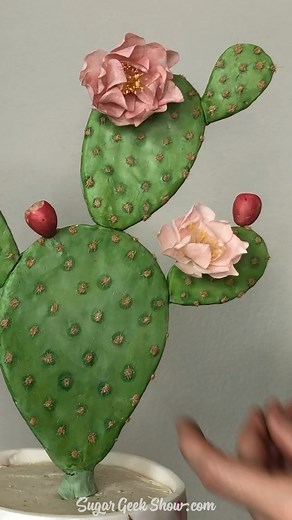 9.6K views · 228 reactions | ✖️NEW✖️ Who else is loving the plant cake trend?! ‍♀️ Learn how to make each of these unique potted cactus cakes with realistic flowers, spikes, and more. Special thanks to guest instructor Sara Weber from @sarasweetatx for this amazing tutorial! Watch this full tutorial for step-by-step instructions on www.SugarGeekShow.com | Sugar Geek Show | Facebook