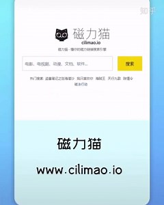 5款高速好用的免费BT下载工具